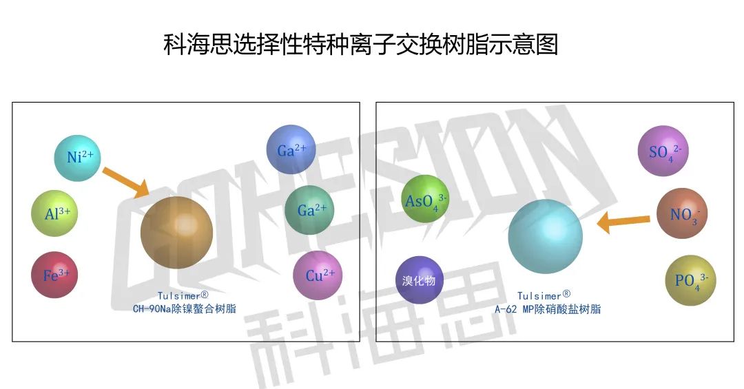 在实际水处理运行中，离子交换树脂选择性的影响因素有哪些